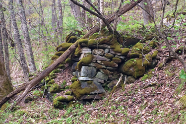 Lime Kiln, Plymouth