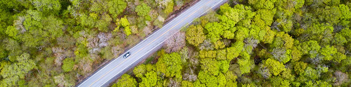 aerial photograph of a car driving on a road in springtime