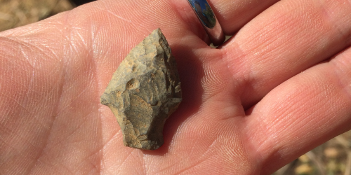 Tiny stone arrowhead