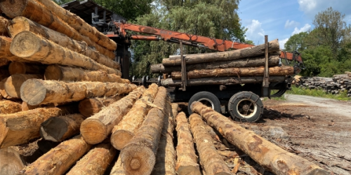 Pile of logs stacked in front of a logging truck. 